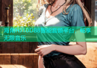 海角HJ10DB8智能音频平台，畅享无限音乐