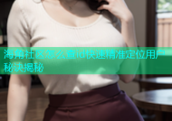 海角社区怎么查id快速精准定位用户秘诀揭秘