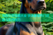 海角社区攻略大全 快速掌握热门话题与实用技巧