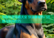 海角社区攻略大全 快速掌握热门话题与实用技巧