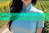 海角社区VIP专属福利大揭秘 你绝不能错过