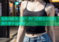 海角社区怎么样？热门话题互动与资源共享平台揭秘
