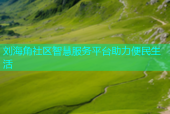 刘海角社区智慧服务平台助力便民生活