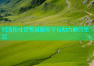 刘海角社区智慧服务平台助力便民生活