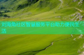 刘海角社区智慧服务平台助力便民生活