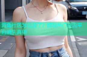 海角社区怎么没了？探秘热门交流平台消失真相