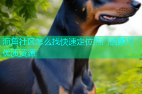 海角社区怎么找快速定位热门话题与优质资源