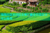 海角社区关闭后去哪？最全交流互动平台推荐
