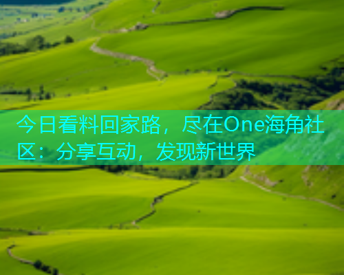 今日看料回家路，尽在One海角社区：分享互动，发现新世界  第1张