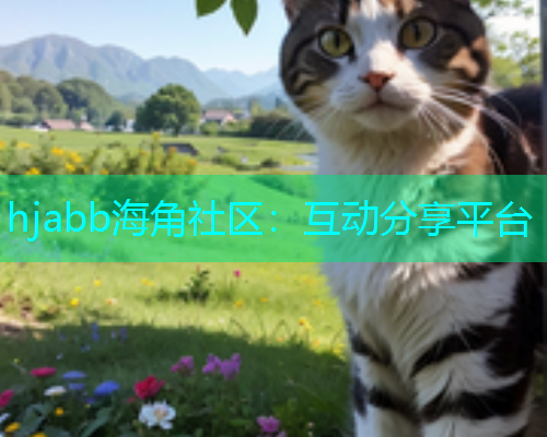 hjabb海角社区：互动分享平台  第1张