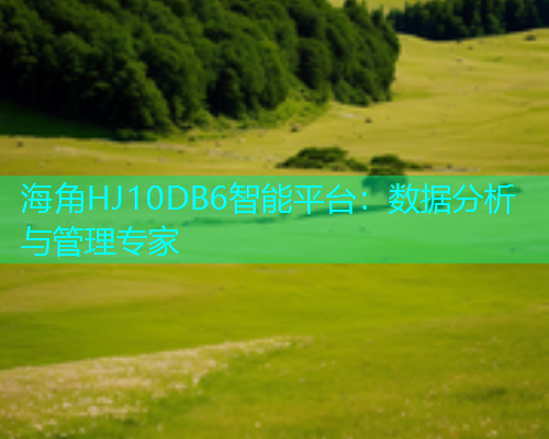 海角HJ10DB6智能平台：数据分析与管理专家  第1张