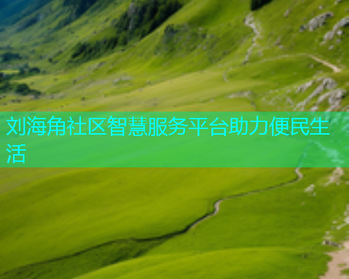 刘海角社区智慧服务平台助力便民生活  第1张