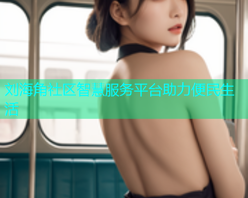 刘海角社区智慧服务平台助力便民生活  第2张