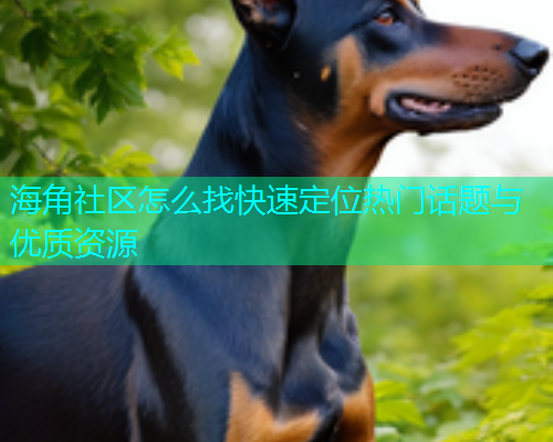 海角社区怎么找快速定位热门话题与优质资源  第1张