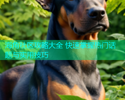 海角社区攻略大全 快速掌握热门话题与实用技巧  第1张