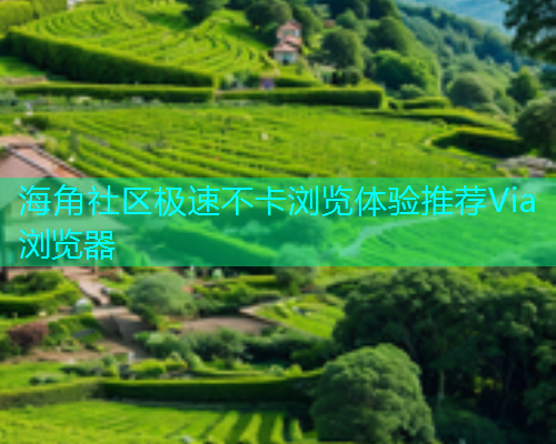 海角社区极速不卡浏览体验推荐Via浏览器  第2张